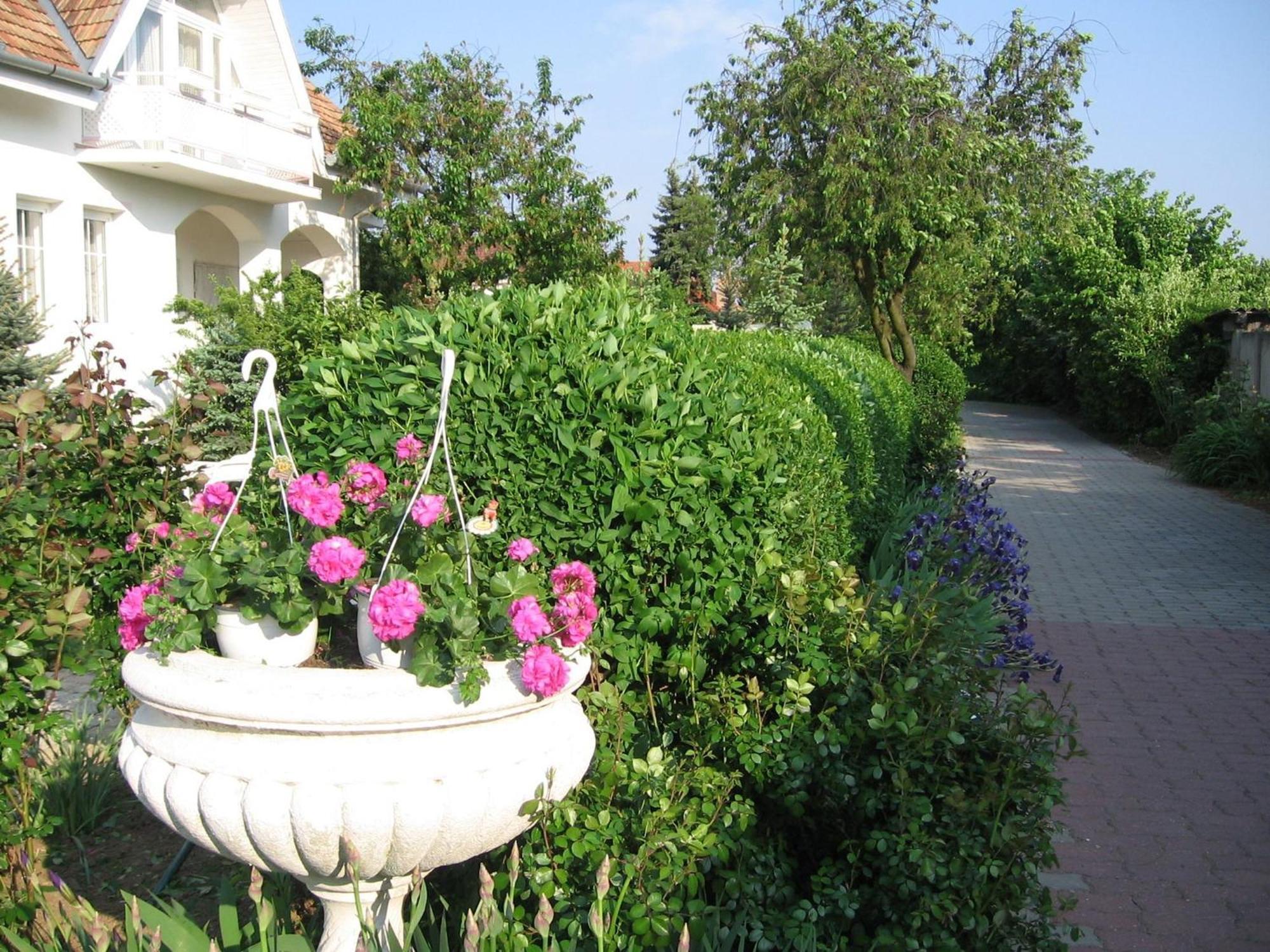 Pension Ovari Бюк Экстерьер фото