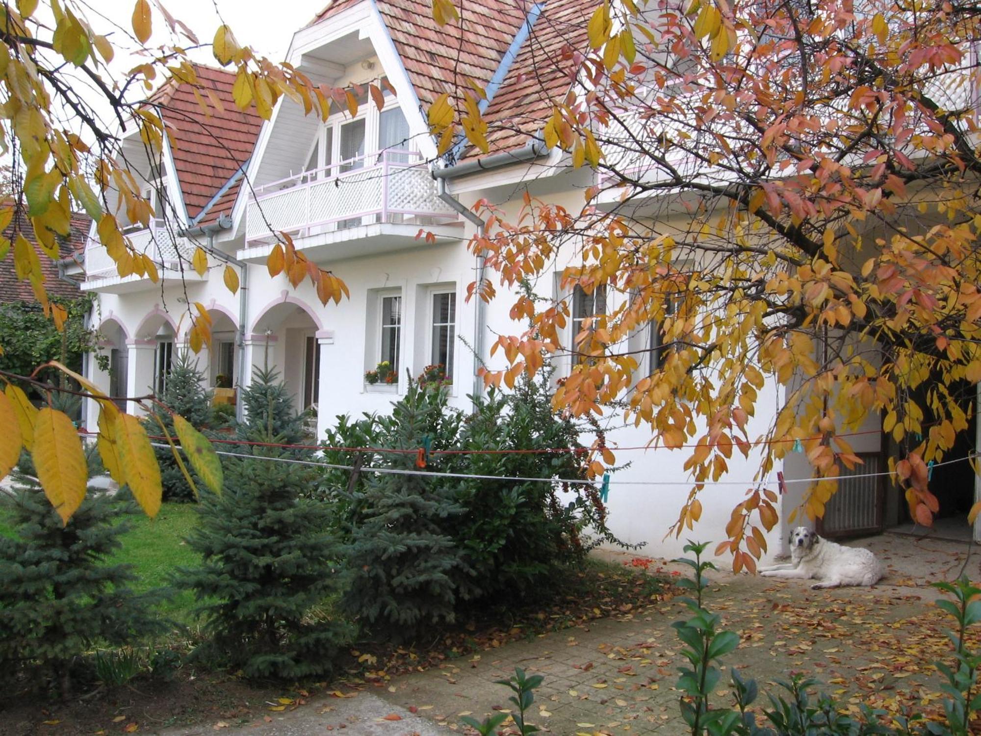 Pension Ovari Бюк Экстерьер фото