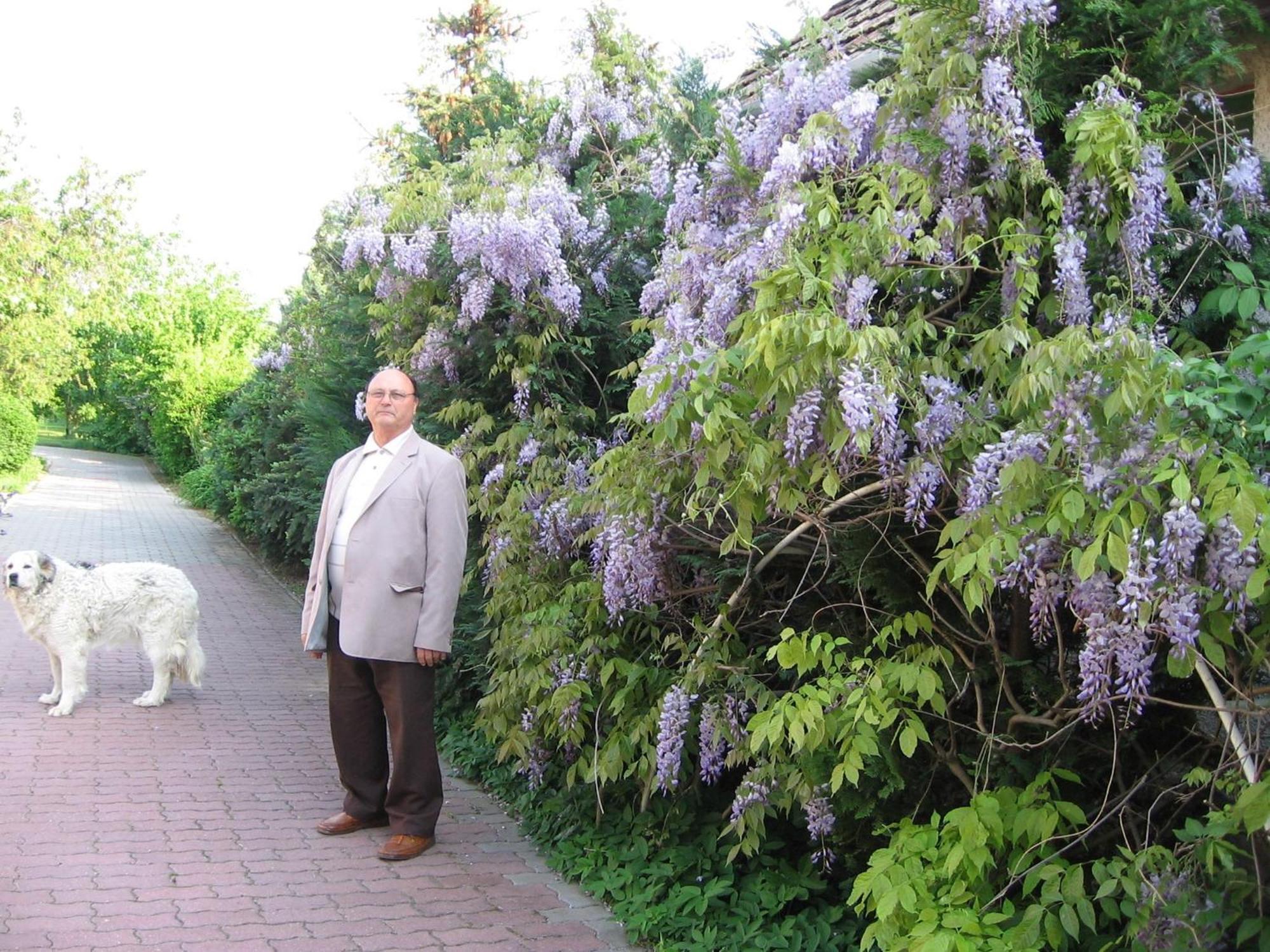 Pension Ovari Бюк Экстерьер фото