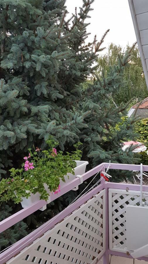 Pension Ovari Бюк Экстерьер фото